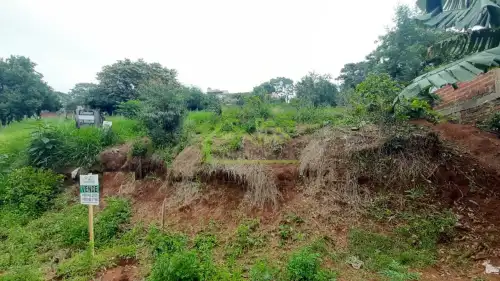 Terreno à venda em Rio Branco, Novo Hamburgo